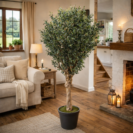 Olivo Seminaturale  Verde con frutti  Tronco Jamaica  H 250 cm