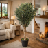 Olivo Seminaturale  Verde con frutti  Tronco Jamaica  H 200 cm