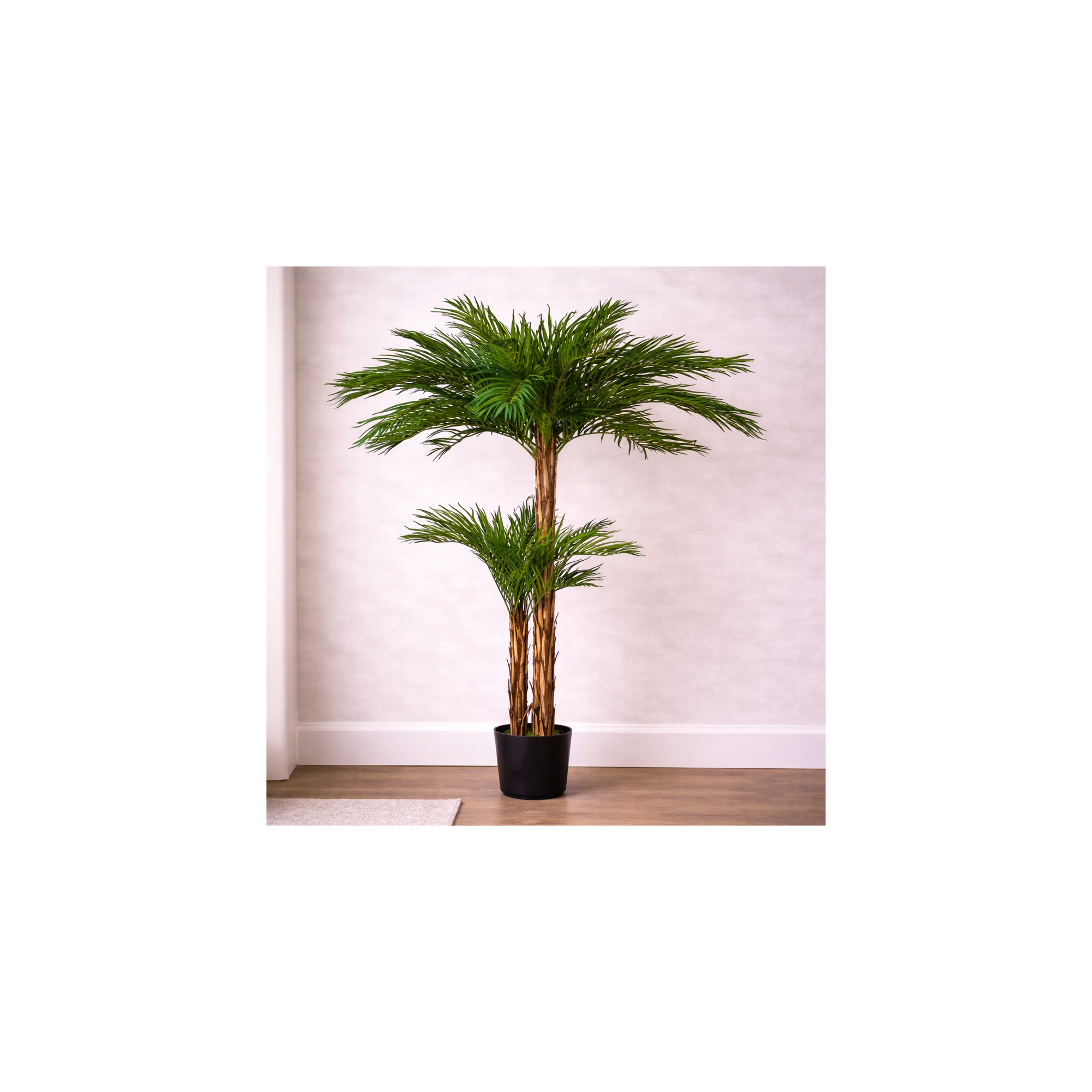  Palma Areca Seminaturale  Verde  Tronco in fibra di Cocco  UVR  H 210 cm