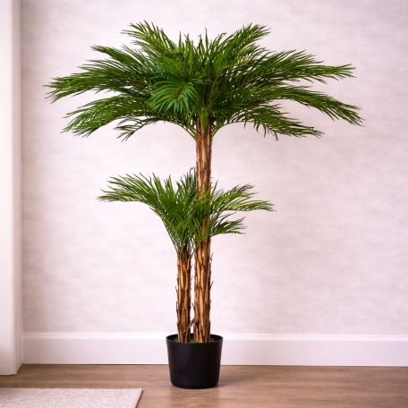 Palma Areca Seminaturale  Verde  Tronco in fibra di Cocco  UVR  H 210 cm