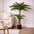 Palma Areca Seminaturale  Verde  Tronco in fibra di Cocco  UVR  H 210 cm