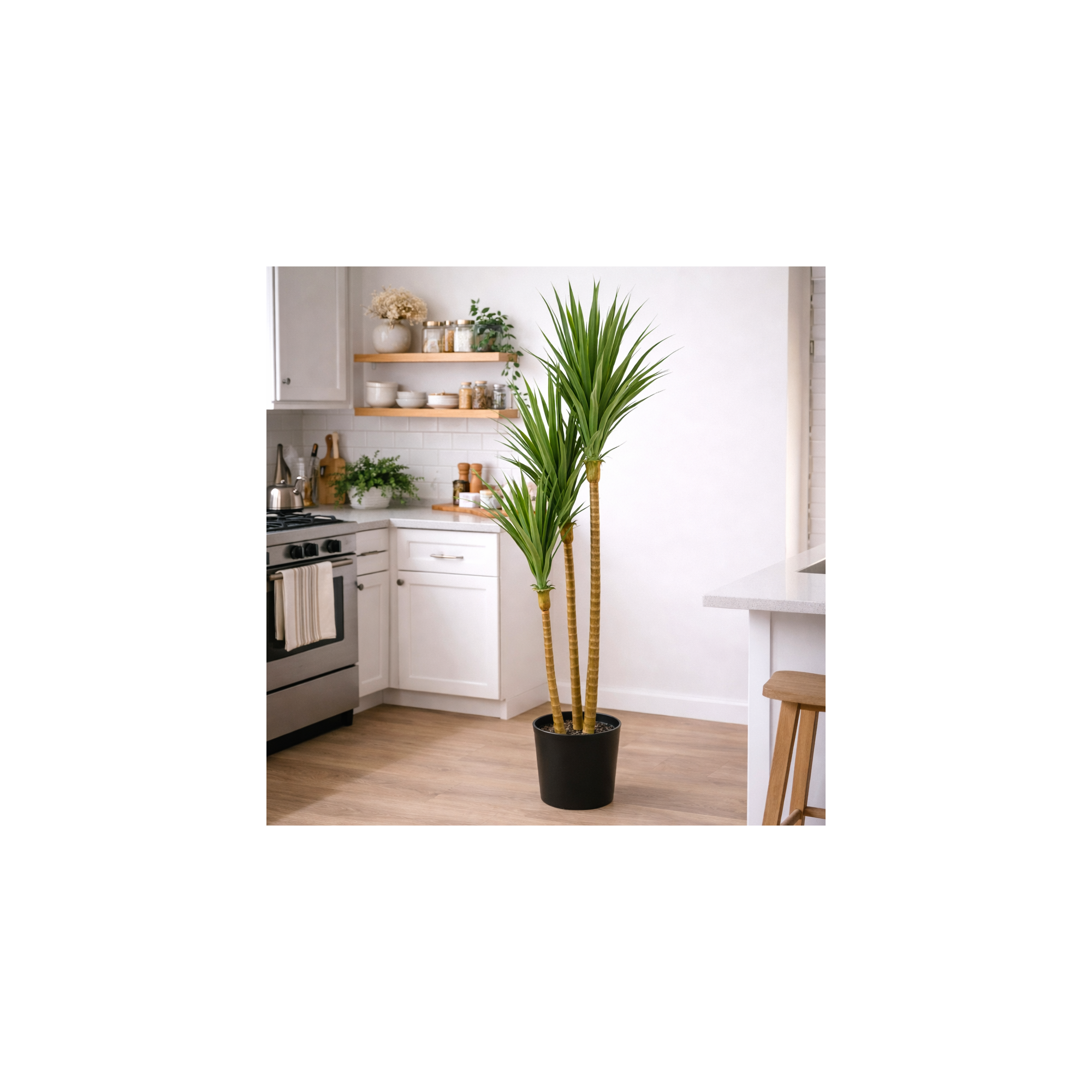 Giulia Grillo Dracena Angustifolia Artificiale  Verde  UVR H 180 CM