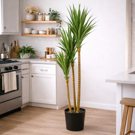 Dracena Angustifolia Artificiale  Verde  UVR H 180 CM