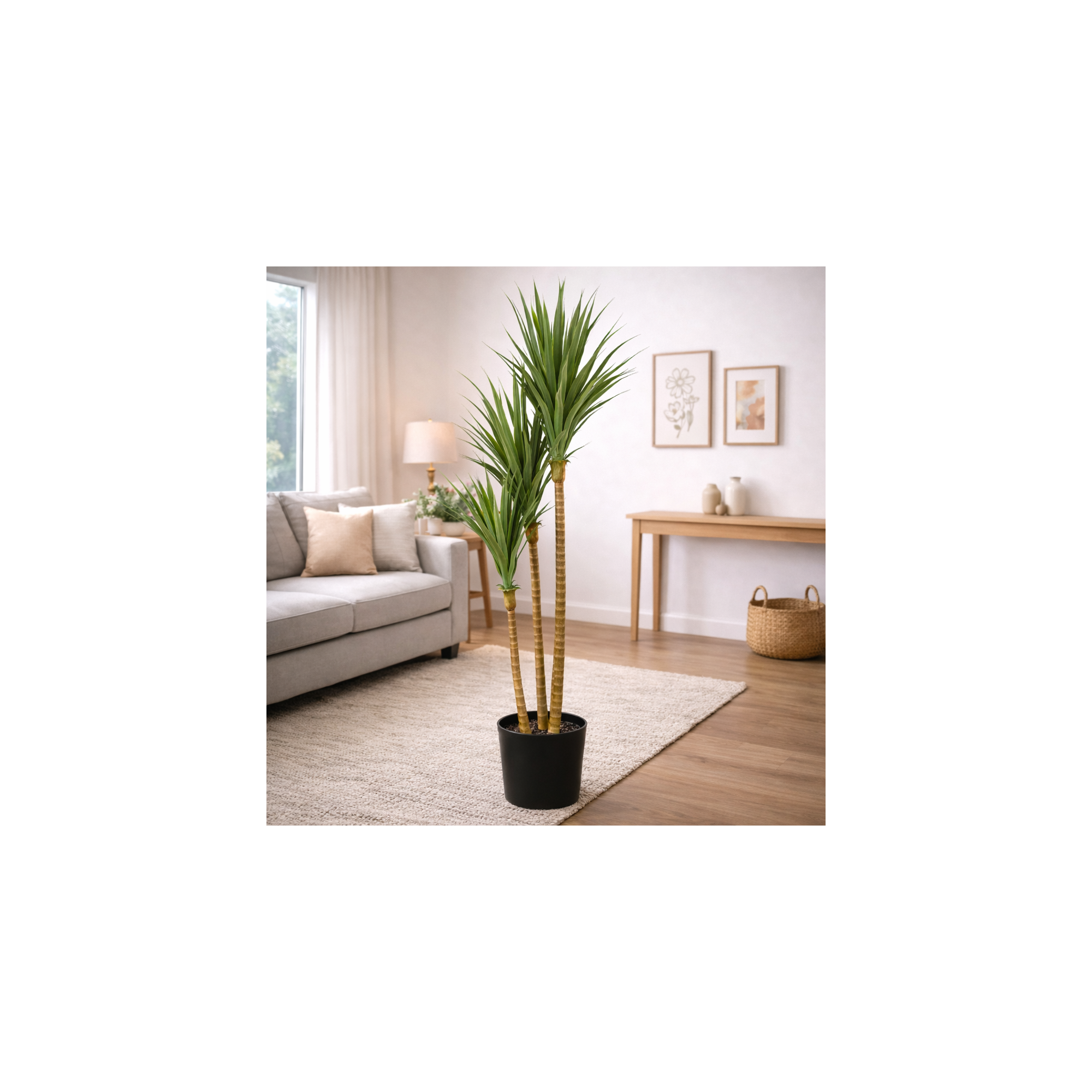 Giulia Grillo Dracena Angustifolia Artificiale  Verde  UVR H 180 CM