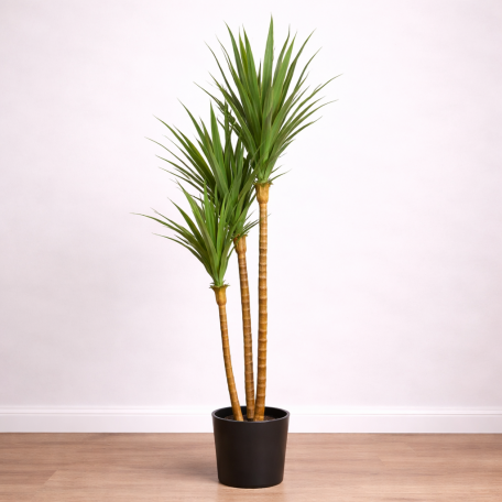 Dracena Angustifolia Artificiale  Verde  UVR H 180 CM