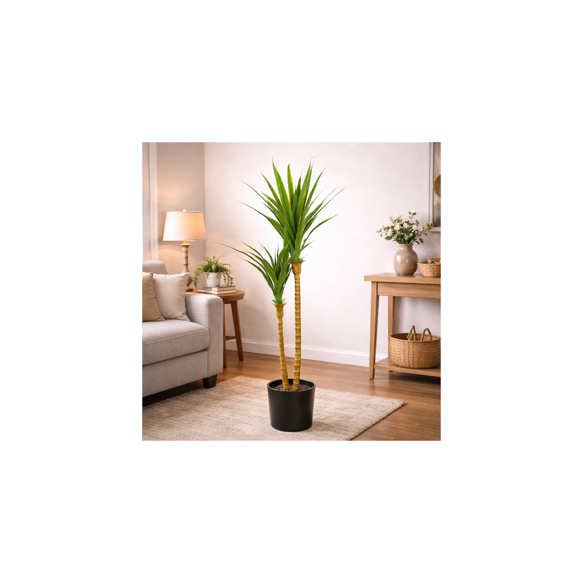 Giulia Grillo Dracena Angustifolia Artificiale  Verde  UVR H 150 CM