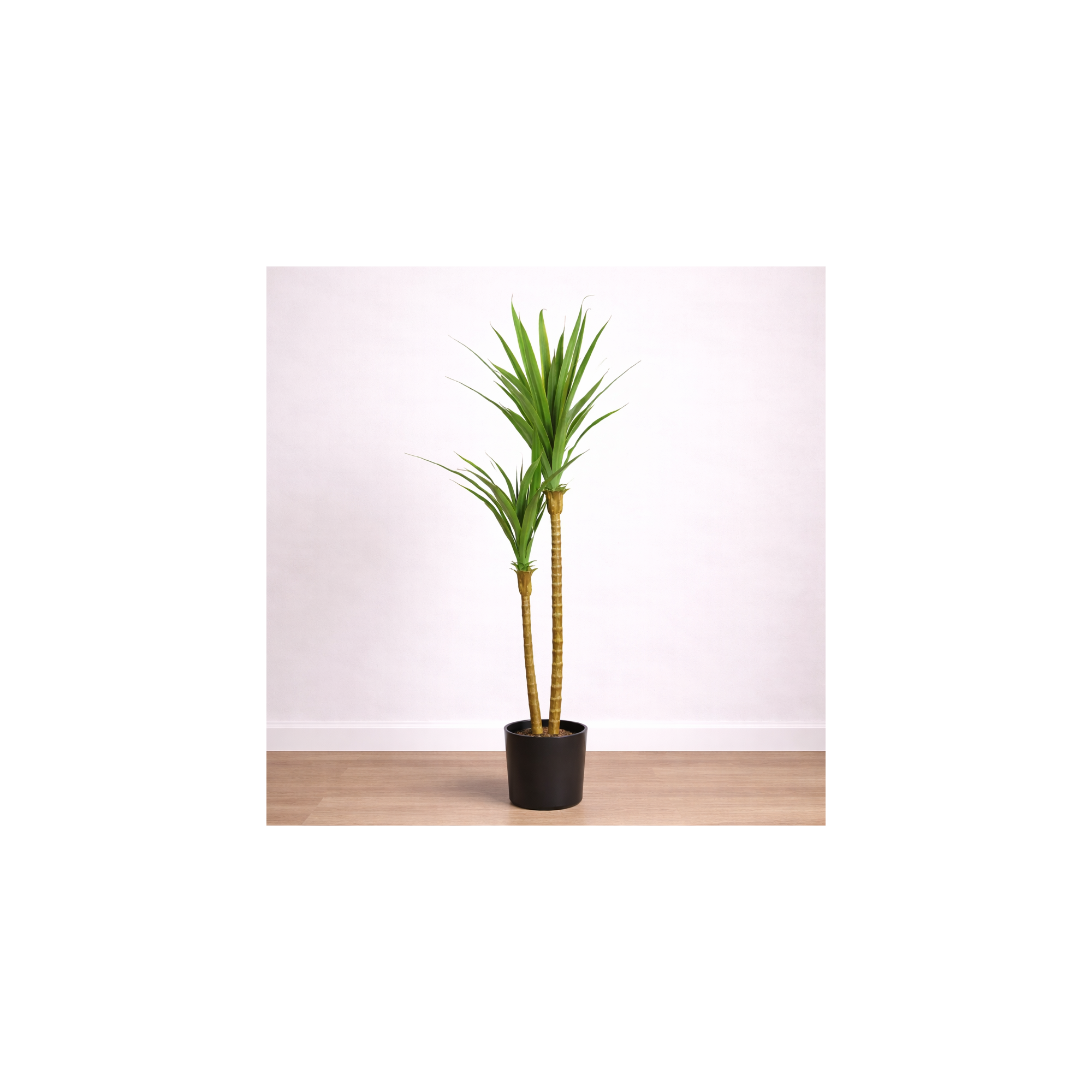 Giulia Grillo Dracena Angustifolia Artificiale  Verde  UVR H 150 CM