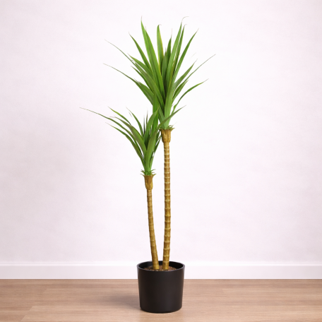Dracena Angustifolia Artificiale  Verde  UVR H 150 CM