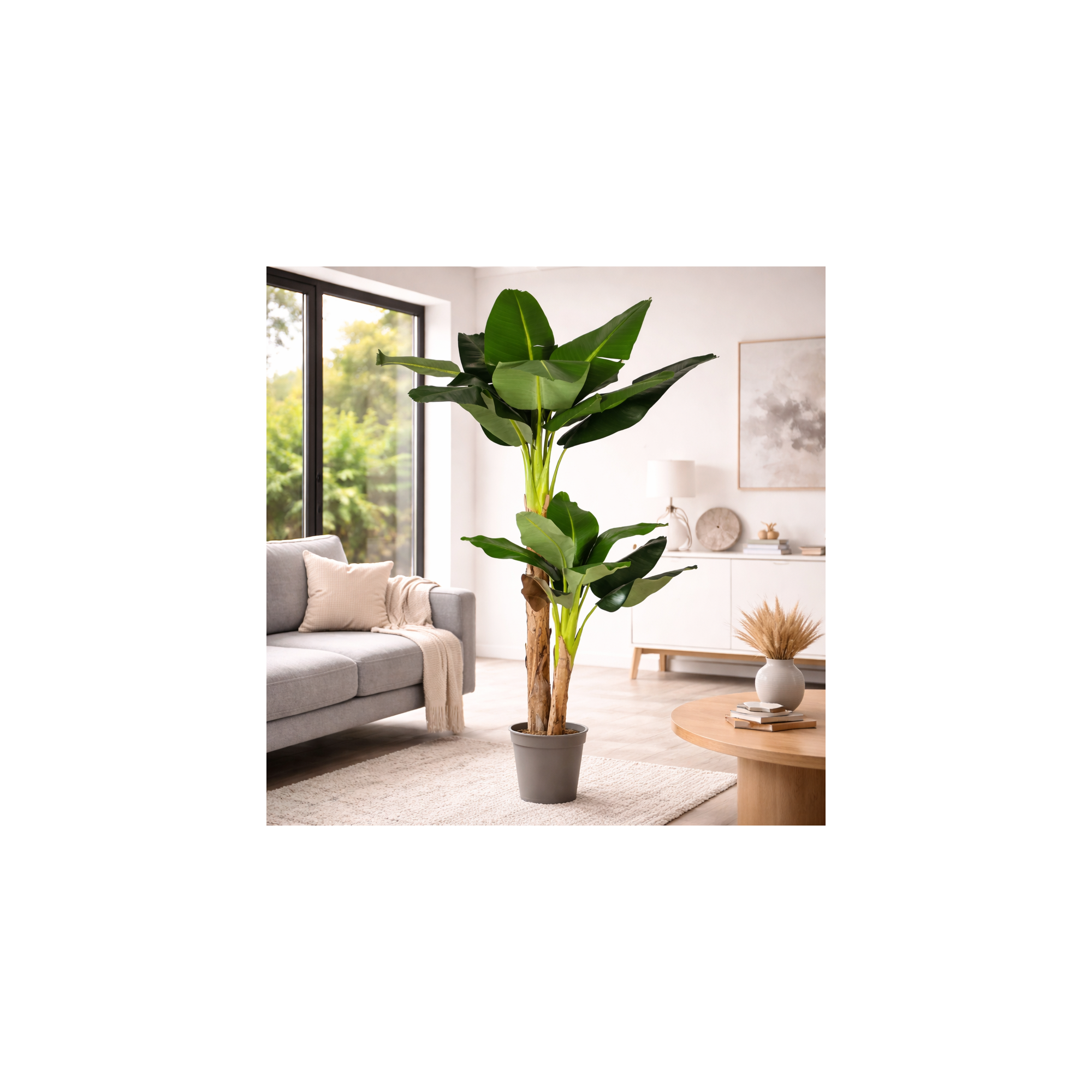  Banano Seminaturale Verde 2 Tronchi in Corteccia di Banano 150cm