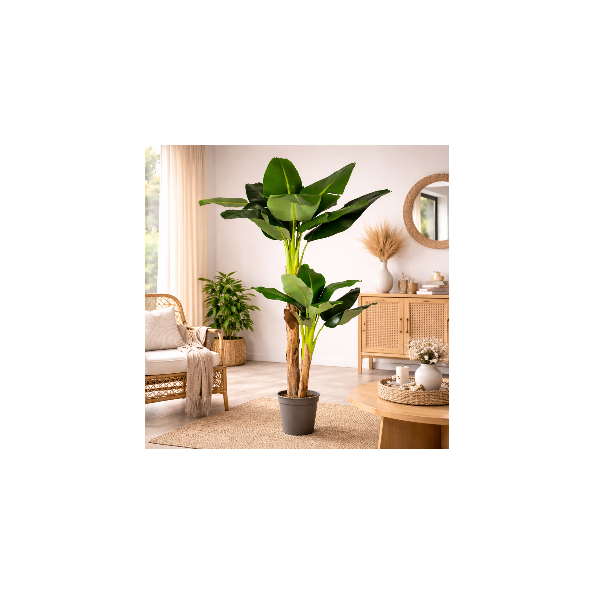  Banano Seminaturale Verde 2 Tronchi in Corteccia di Banano 150cm