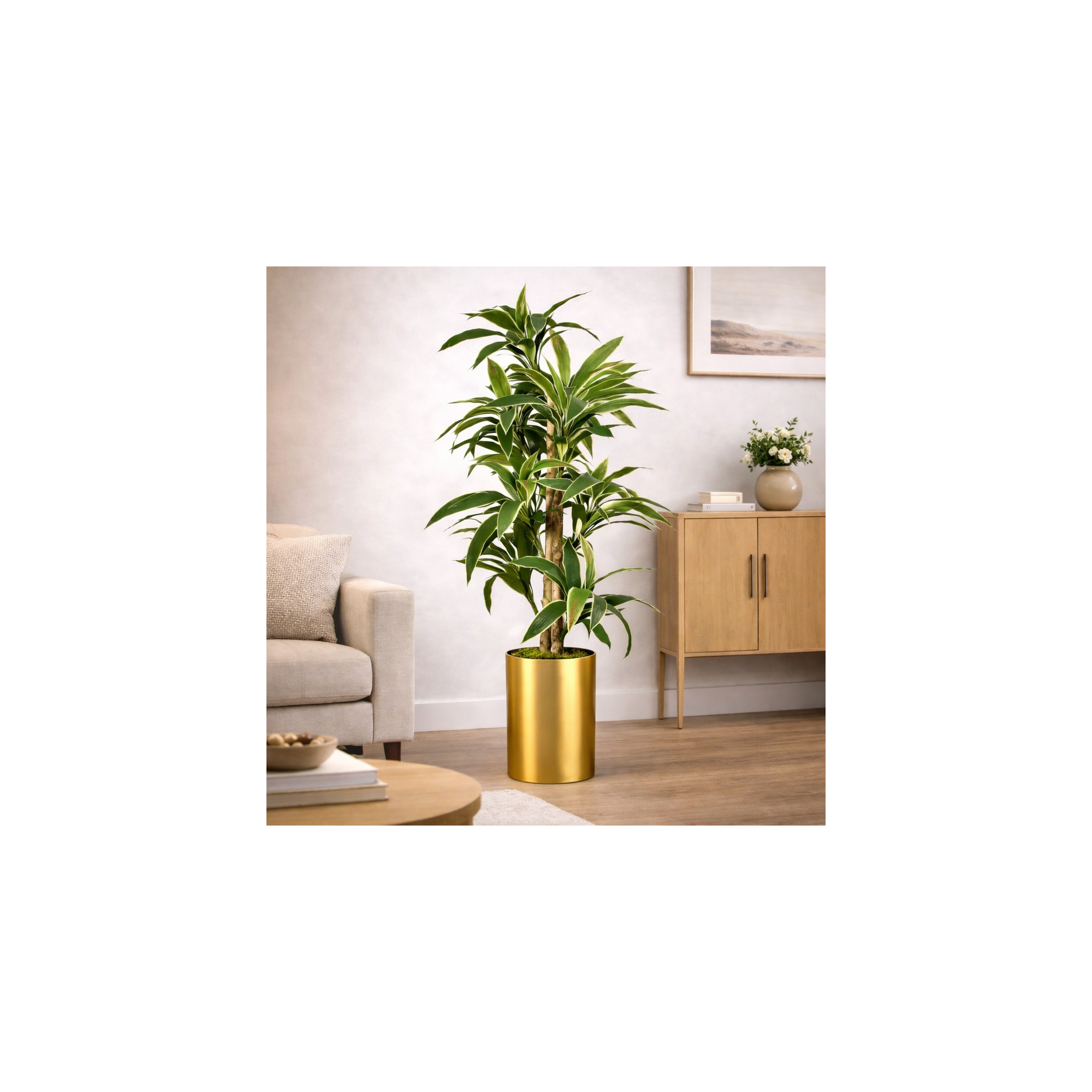 Giulia Grillo Dracena Semi-Naturale  Verde UVR Tronco Mansanisi 200cm