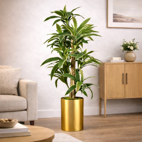 Dracena Semi-Naturale Verde UVR Tronco Mansanisi 150cm