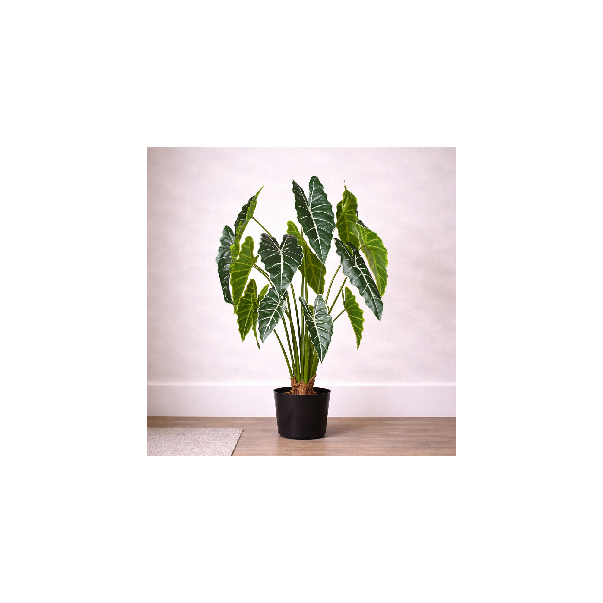  Grand Syngonium Artificiale Variegato con 12 foglie 100 cm