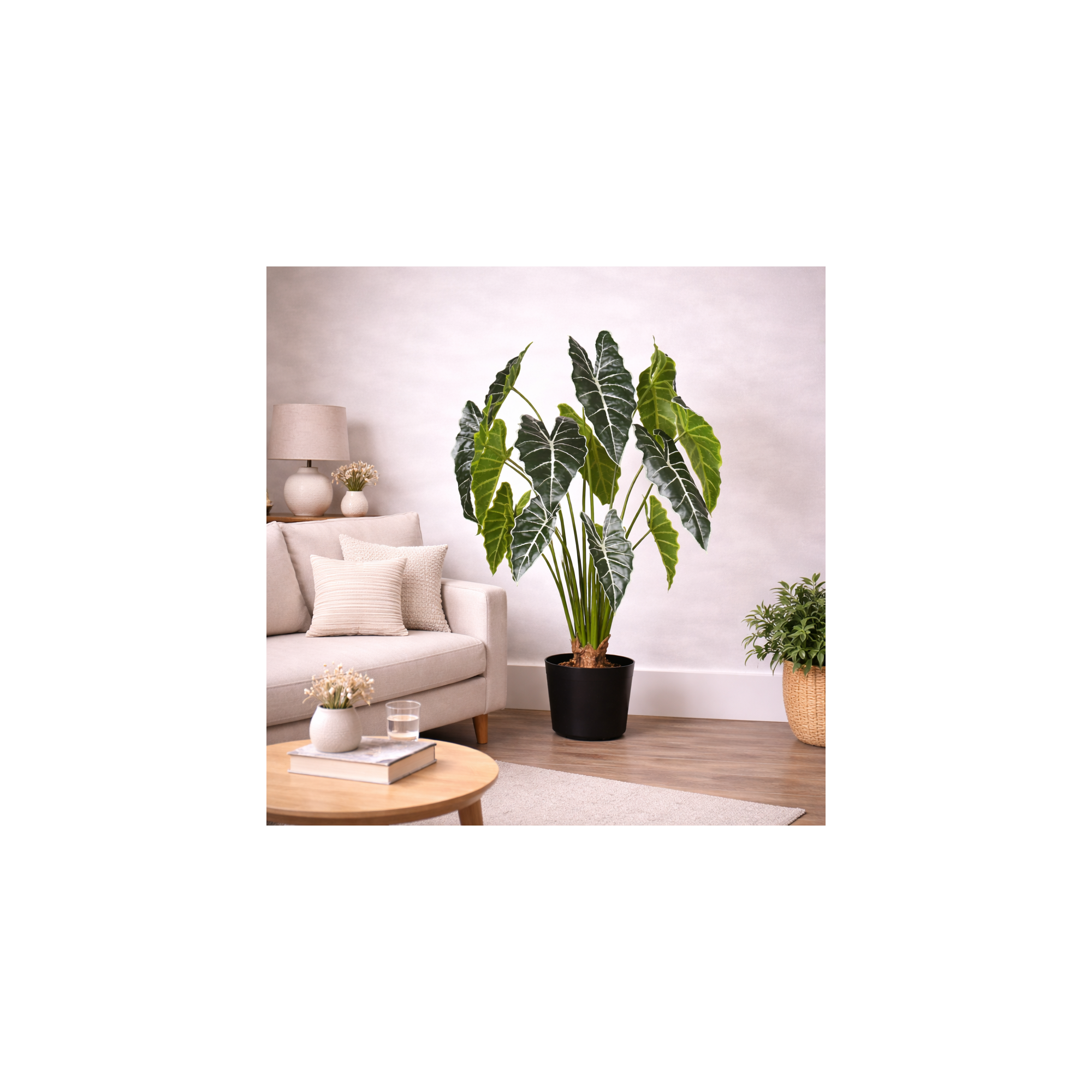  Grand Syngonium Artificiale Variegato con 12 foglie 100 cm