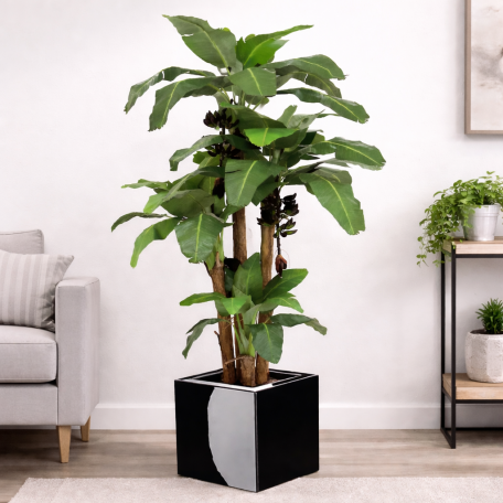 Banano Seminaturale Verde 4 Tronchi in corteccia di Banano 270cm