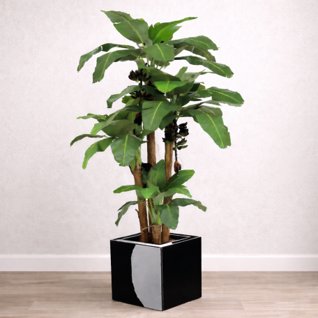 Banano Seminaturale Verde 4 Tronchi in corteccia di Banano 270cm