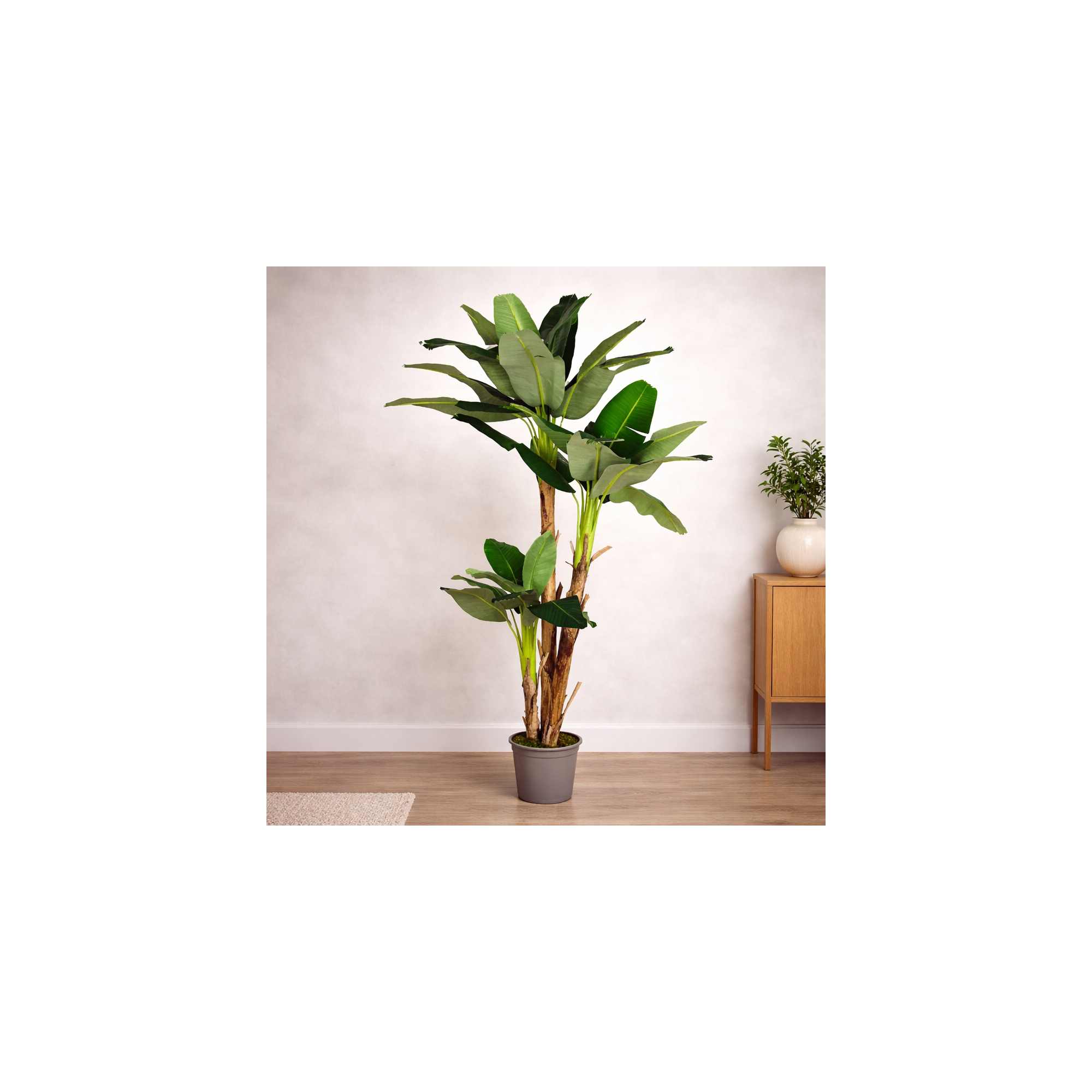 Giulia Grillo Banano Seminaturale Verde 3 Tronchi in corteccia di Banano 230 cm