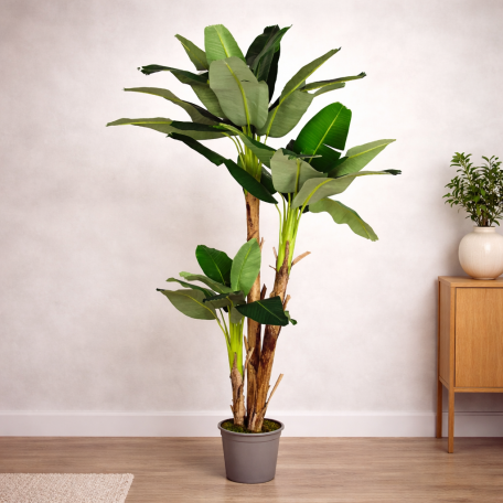 Banano Seminaturale Verde 3 Tronchi in corteccia di Banano 230 cm