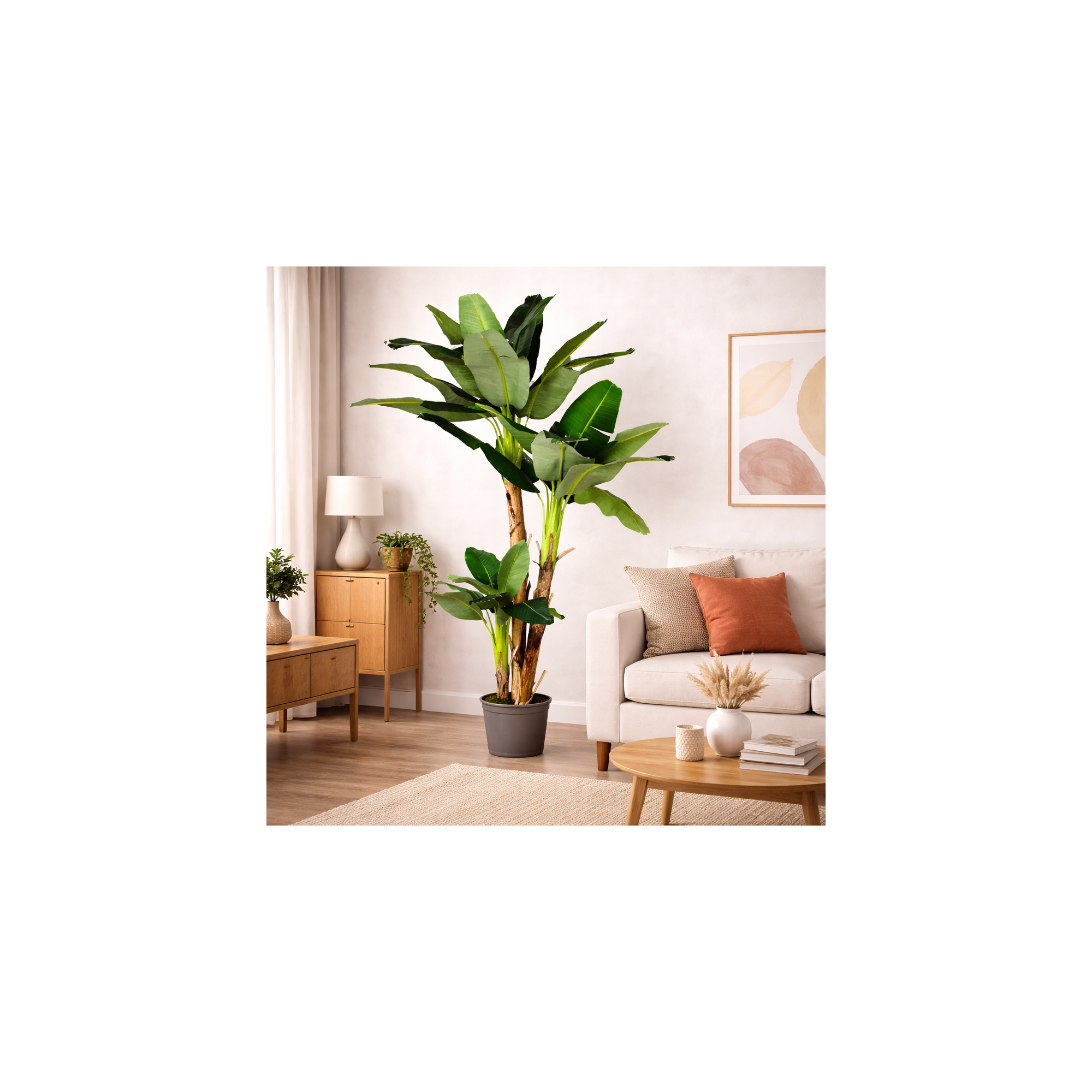 Giulia Grillo Banano Seminaturale Verde 3 Tronchi in corteccia di Banano 230 cm