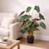 Alocasia Polly Artificiale Variegata UVR 90cm