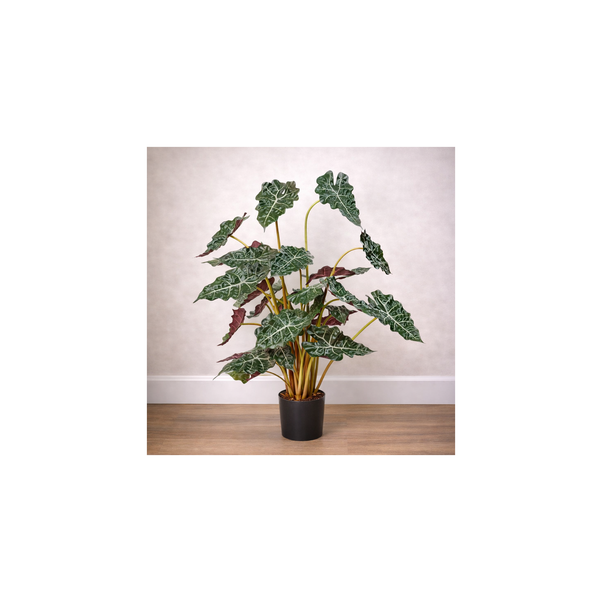  Alocasia Polly Artificiale Variegata UVR 90cm