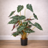 Alocasia Polly Artificiale Variegata UVR 90cm