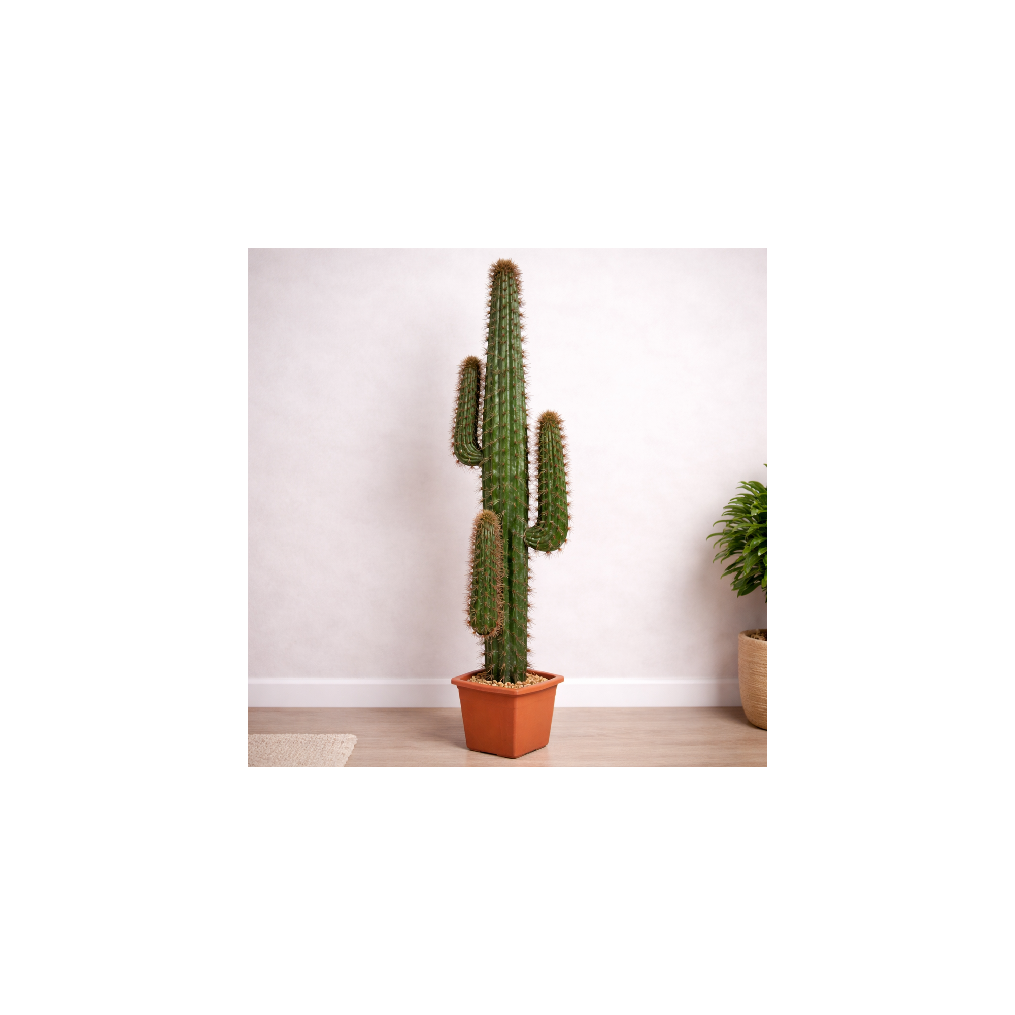 Giulia Grillo Cactus Mexico Artificiale  Verde h 170 cm