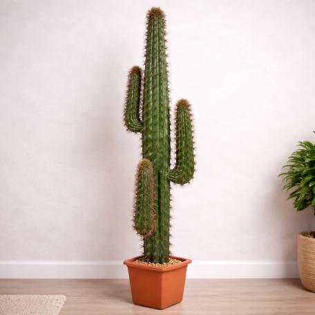 Cactus Mexico Artificiale  Verde h 170 cm