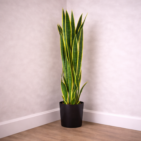 Sanseveria Artificiale  Variegata  High  UVR  H  130 cm