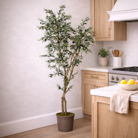 Olivo Seminaturale  Verde  Tronco Mansanisi   H 180cm