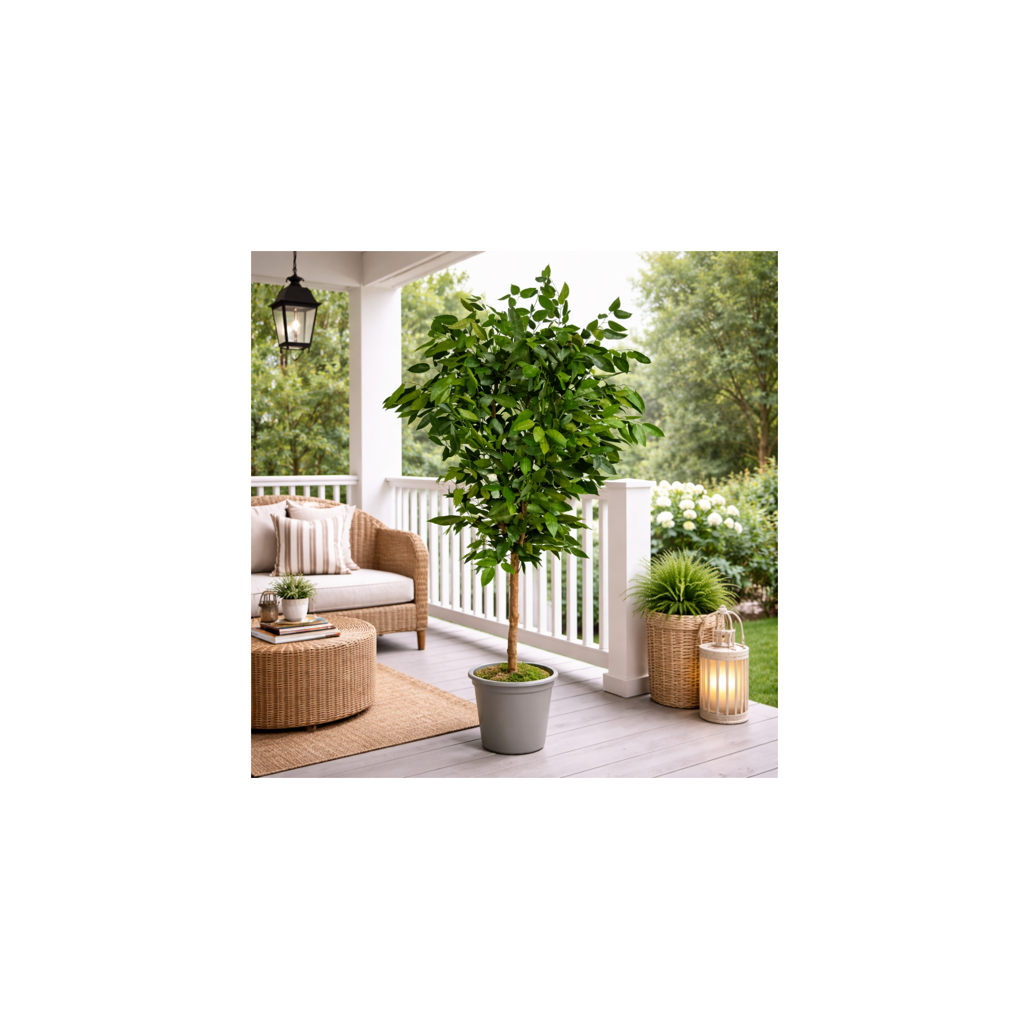 Giulia Grillo Eucalipto Robusta Stabilizzato  Verde  Tronco Mansanisi H 200 cm