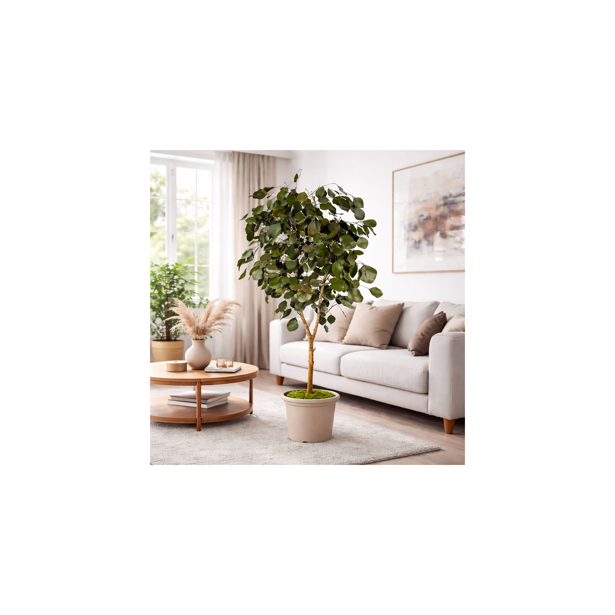 Giulia Grillo Eucalipto Populus Stabilizzato  Verde  Tronco Mansanisi H 120 cm