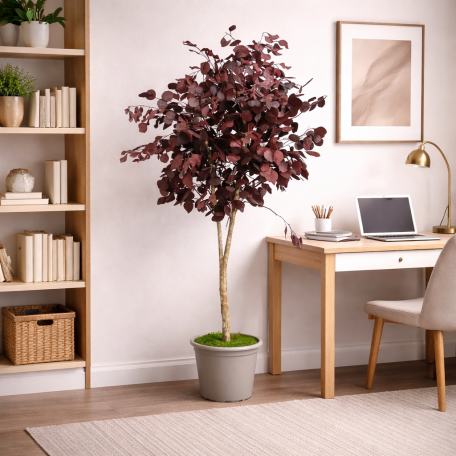 Eucalipto Populus Stabilizzato  Rosso  Tronco Mansanisi h 150 cm