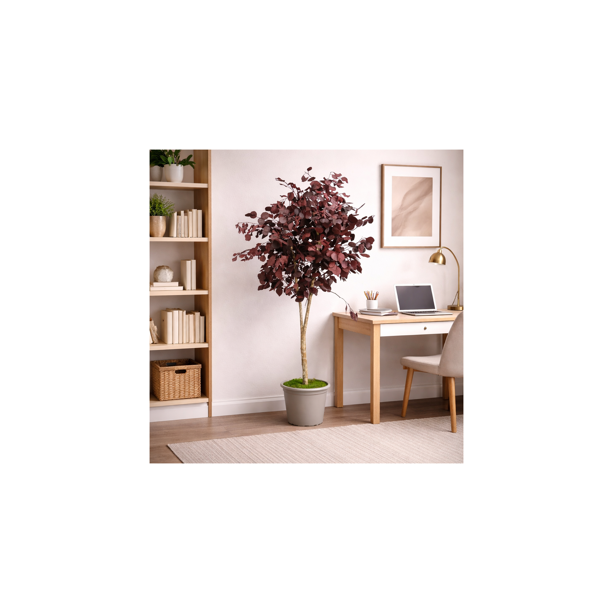 Giulia Grillo Eucalipto Populus Stabilizzato  Rosso  Tronco Mansanisi H 120 cm