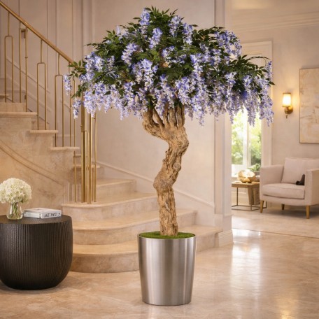 Glicine Seminaturale  Con Fiori  Tronco Majestic  H 250 cm