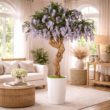 Glicine Seminaturale  Con Fiori  Tronco Majestic  H 250 cm