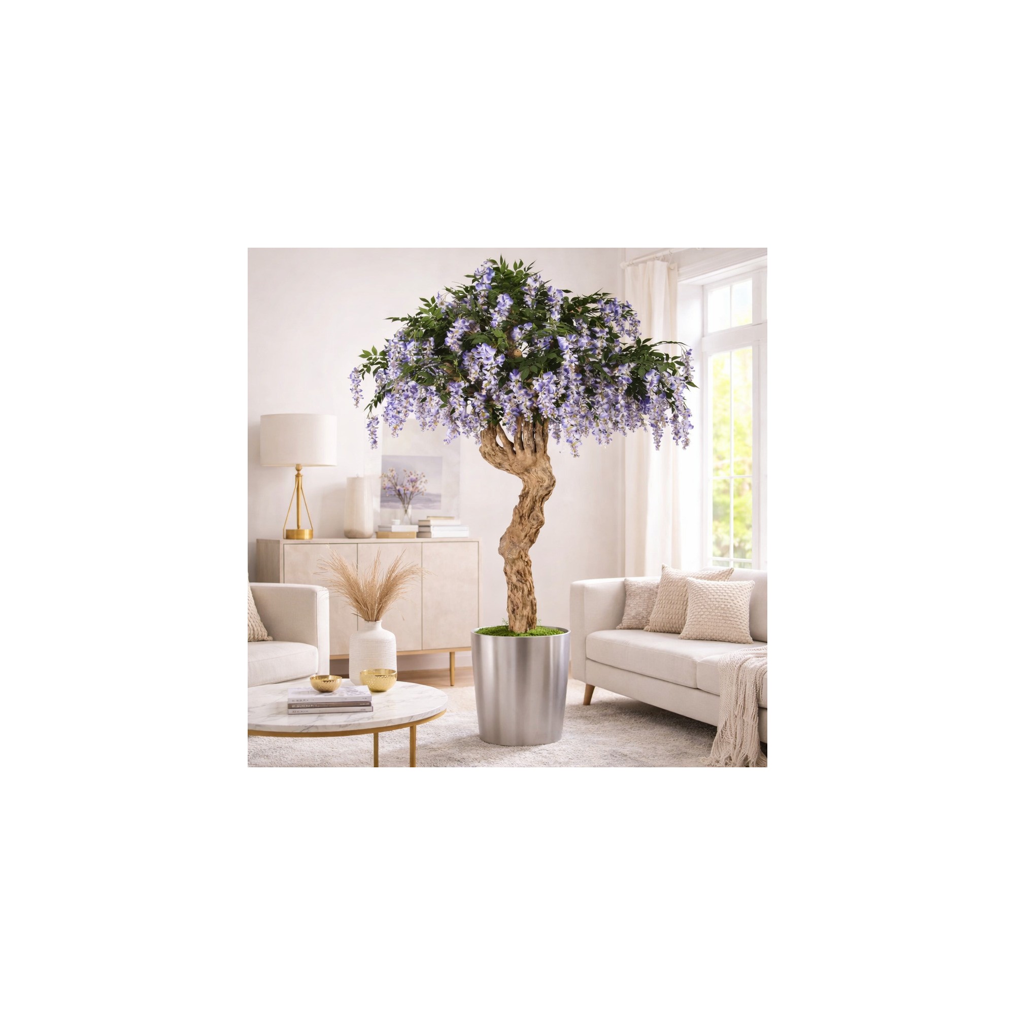  Glicine Seminaturale  Con Fiori  Tronco Majestic  H 250 cm