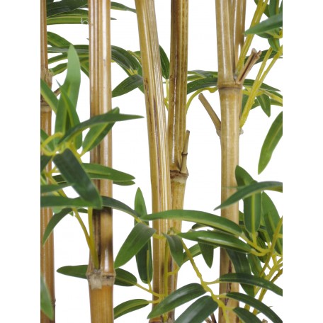 Bamboo Seminaturale  Verde  Canne Naturali 180cm