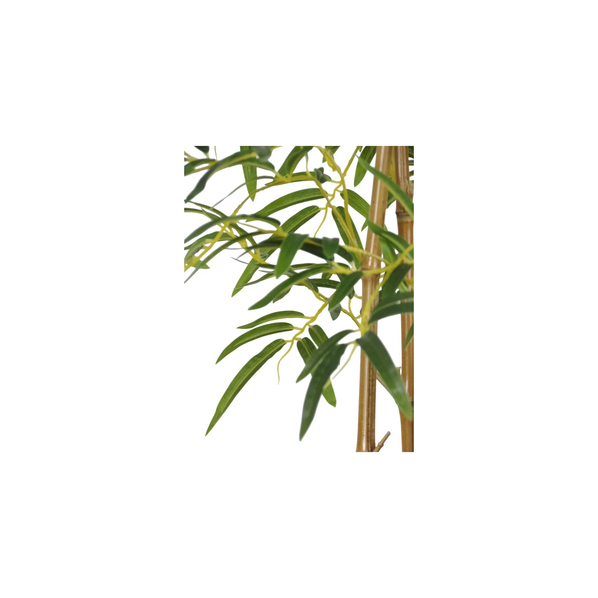  Bamboo Seminaturale  Verde  Canne Naturali 210cm