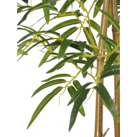 Bamboo Seminaturale  Verde  Canne Naturali 210cm