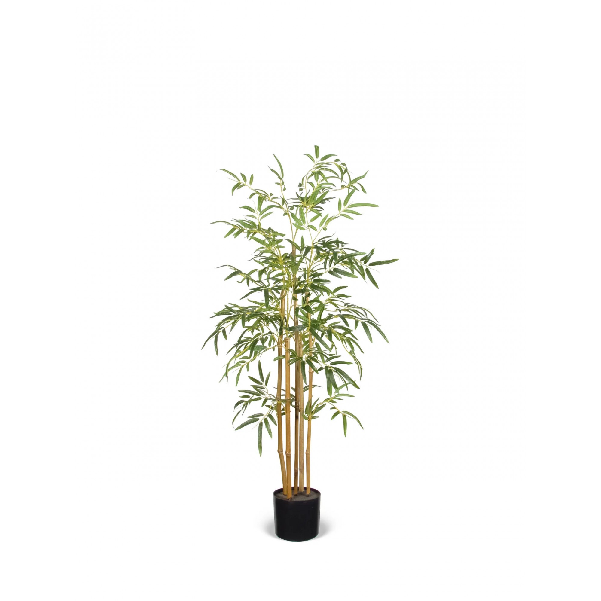  Bamboo Seminaturale  Verde  Canne Naturali 210cm