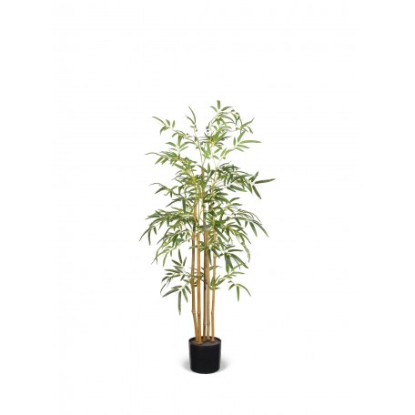 Bamboo Seminaturale  Verde  Canne Naturali 210cm