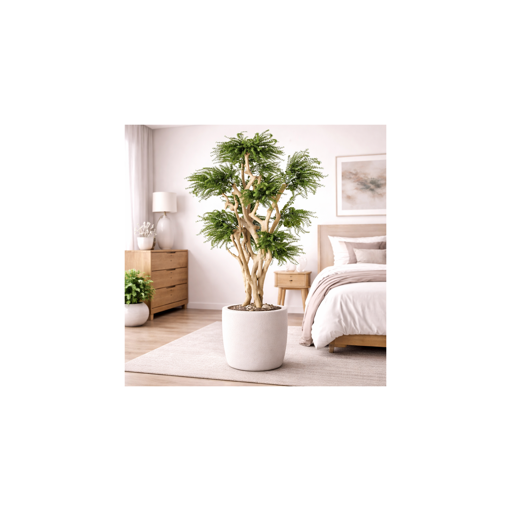  Abelia Seminaturale  Verde  Tronco Japan  UVR  H 185 cm