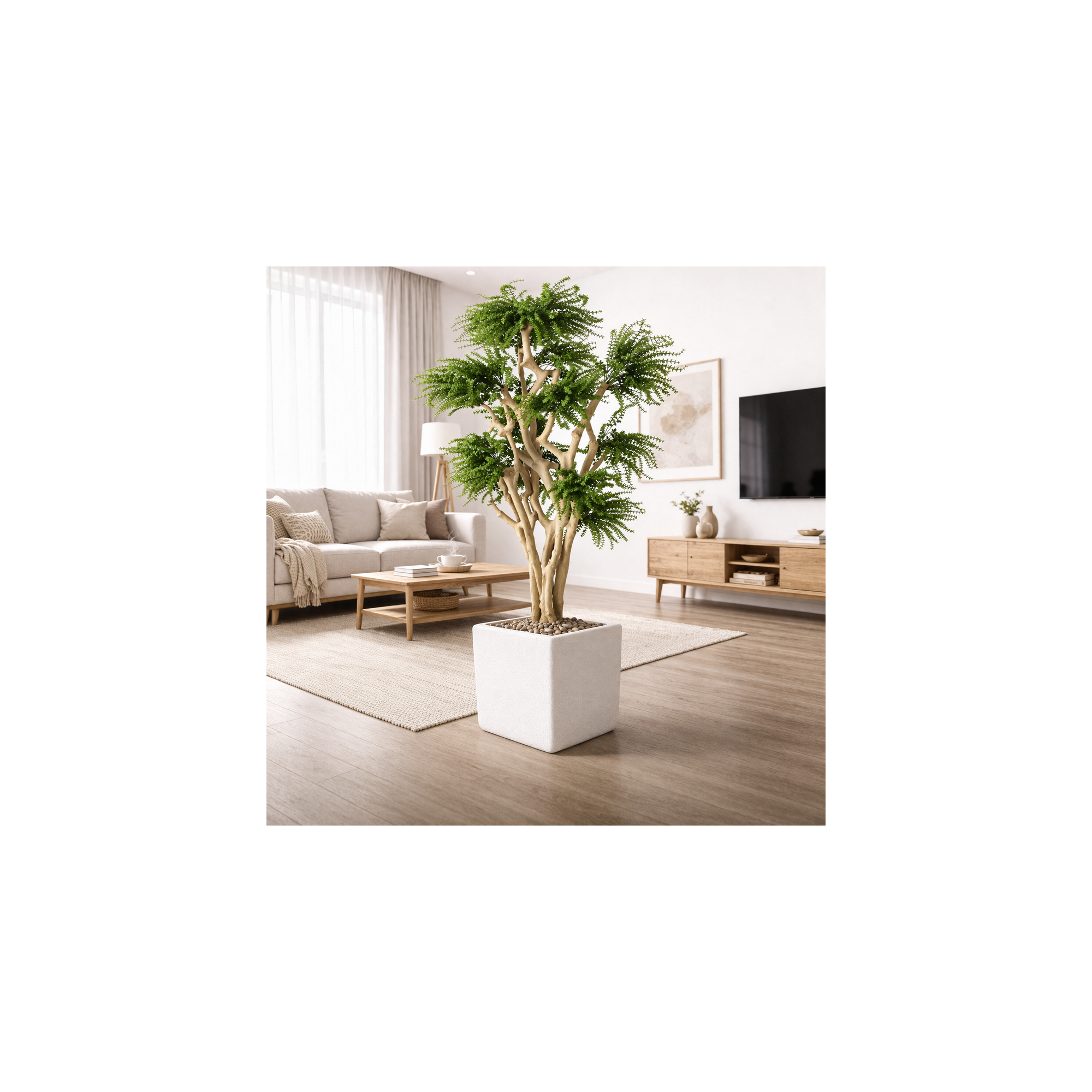  Abelia Seminaturale  Verde  Tronco Japan  UVR  H 185 cm