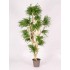 Abelia Seminaturale  Verde  Tronco Japan  UVR  H 185 cm