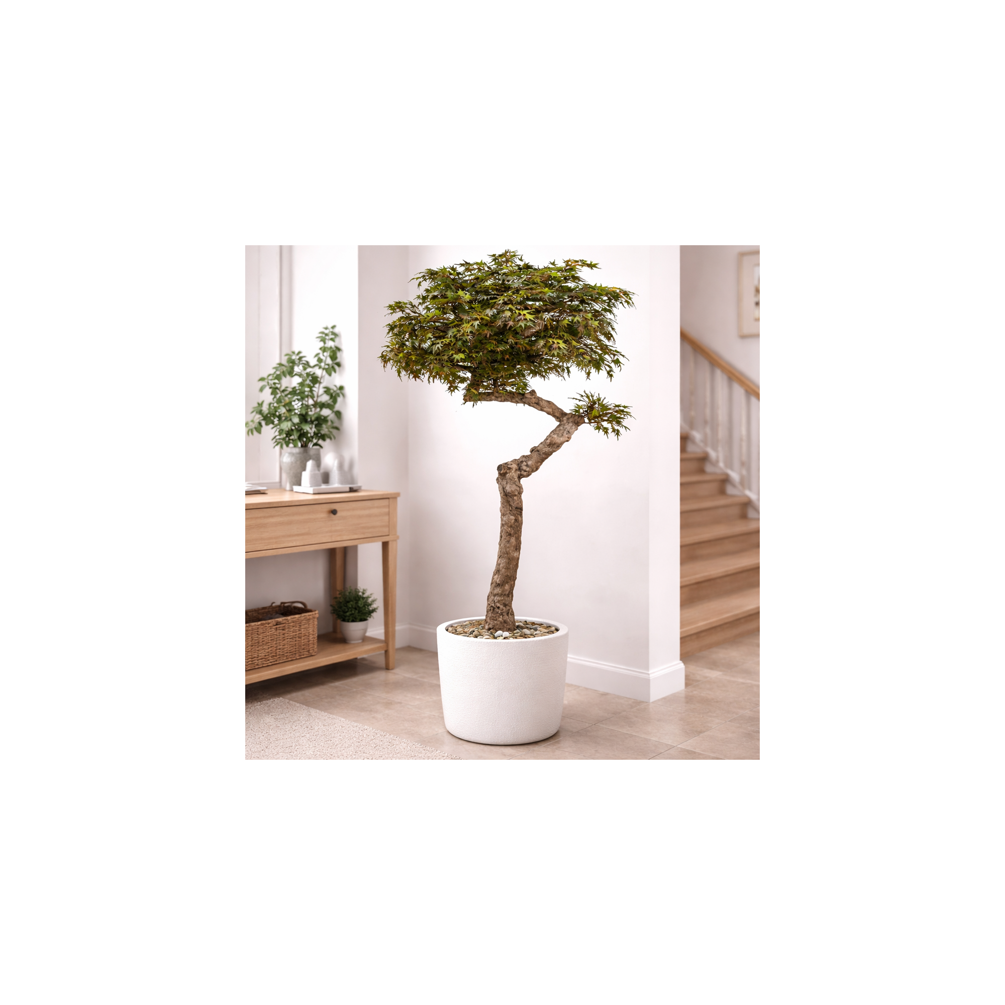  Acero Seminaturale  Colori Autunnali  Tronco Umbrella  Mini foglie  H 275 cm