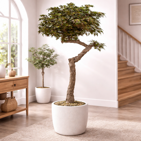 Acero Seminaturale  Colori Autunnali  Tronco Umbrella  Mini foglie  H 275 cm