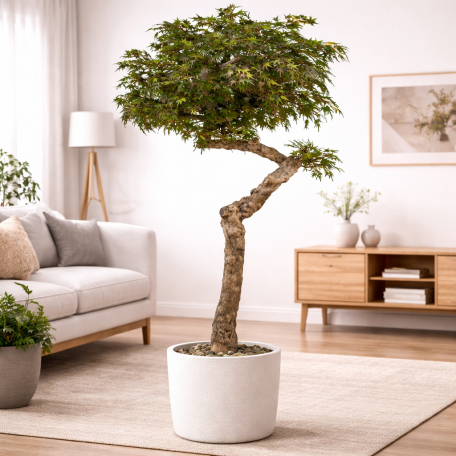 Acero Seminaturale  Colori Autunnali  Tronco Umbrella  Mini foglie  H 275 cm