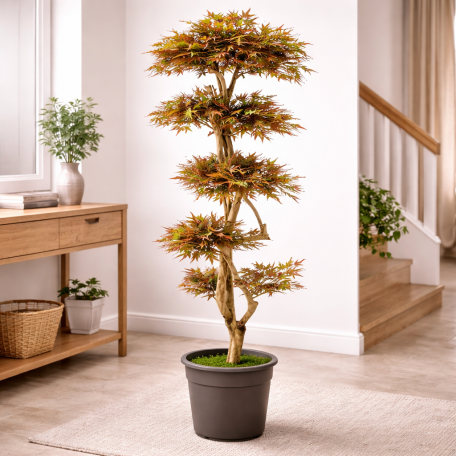 Acero Seminaturale  Mini Foglie Colori Autunnali  Tronco Japan  h150cm