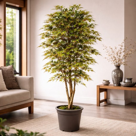 Pianta Acero Seminaturale Tronco VERO legno Mansanisi H 150cm